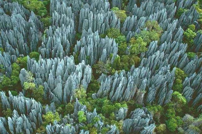 �r�ܵ�ò�DƬ