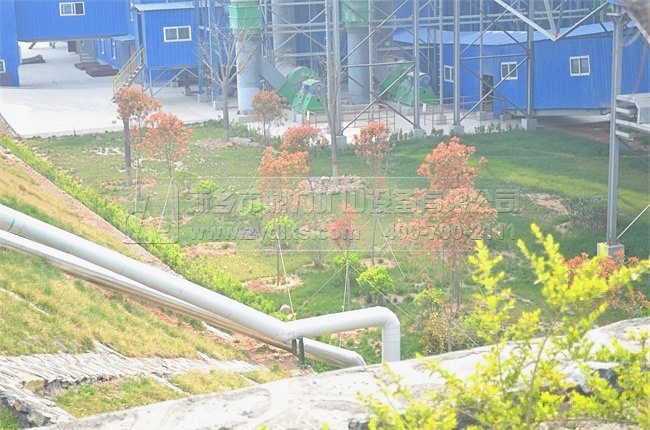 ʯ�ϏS�Nֲ�ľGɫֲ��