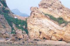 �L(f��ng)���r����ɰ�᣿����ʡס���d�o��֪ͨ����ֹʹ���L(f��ng)���r�C��ɰ