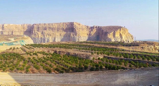 濟南平陰縣永發(fā)石料有限公司時產1000噸石子生產線綠化