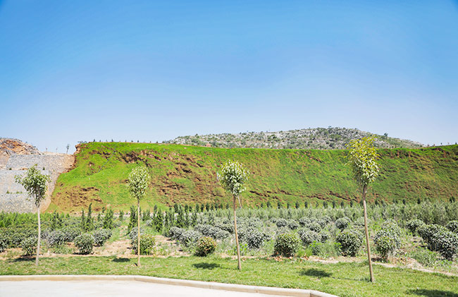 湖北省赤壁市導(dǎo)考察礦山生態(tài)修復(fù)及環(huán)境治理情況