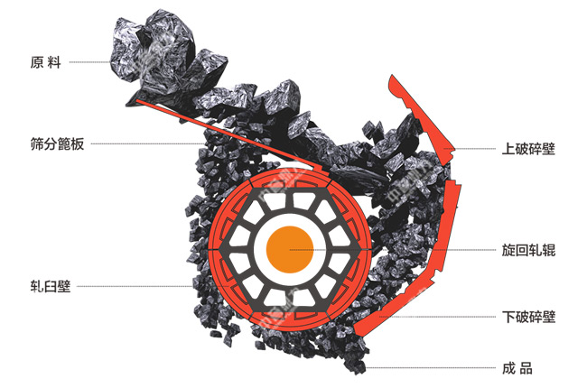 ����ʽ����Cʾ��D